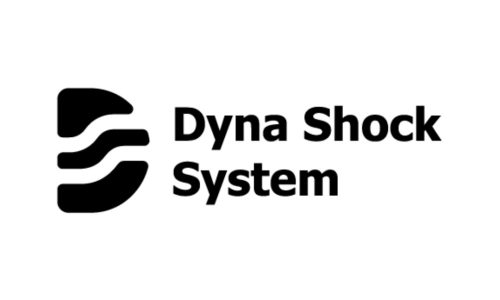 Logo Dyna Shock System